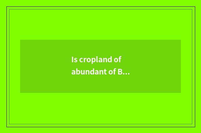 Is cropland of abundant of Beijing head steam a state-owend enterprise?