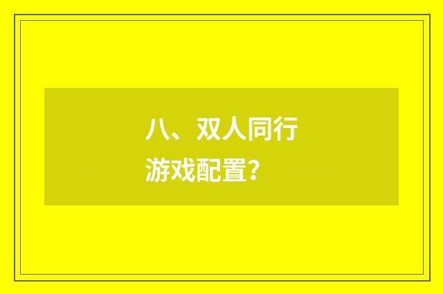 八、双人同行游戏配置？