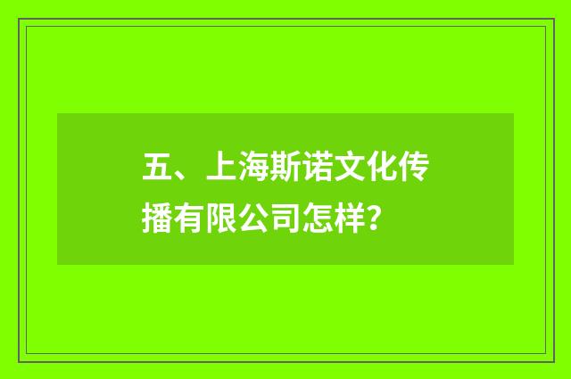 五、上海斯诺文化传播有限公司怎样？