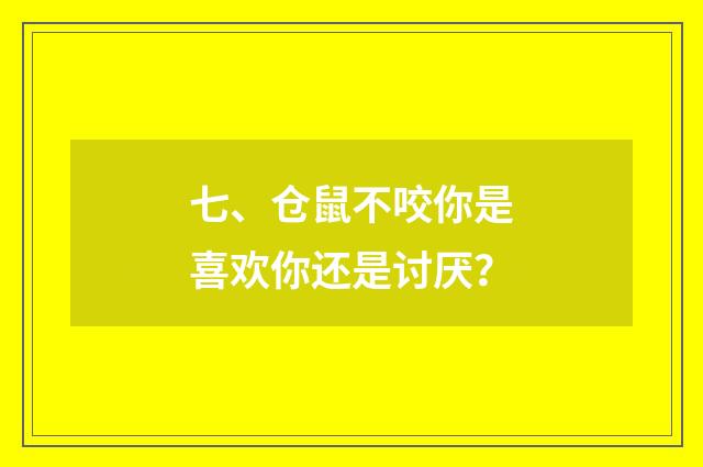 七、仓鼠不咬你是喜欢你还是讨厌?