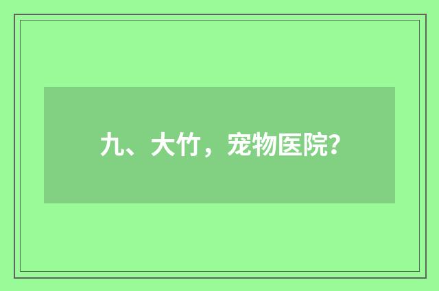 九、大竹,宠物医院?
