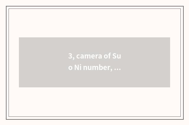 3, camera of Suo Ni number, computer connection?