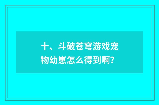 十、斗破苍穹游戏宠物幼崽怎么得到啊?