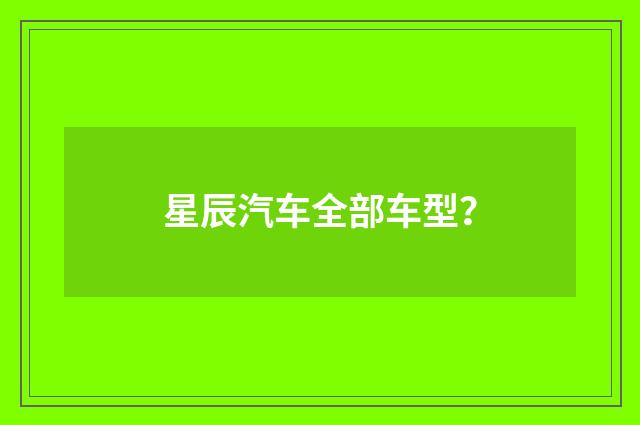 星辰汽车全部车型?