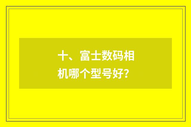 十、富士数码相机哪个型号好?