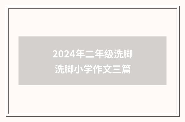 2024年二年级洗脚 洗脚小学作文三篇