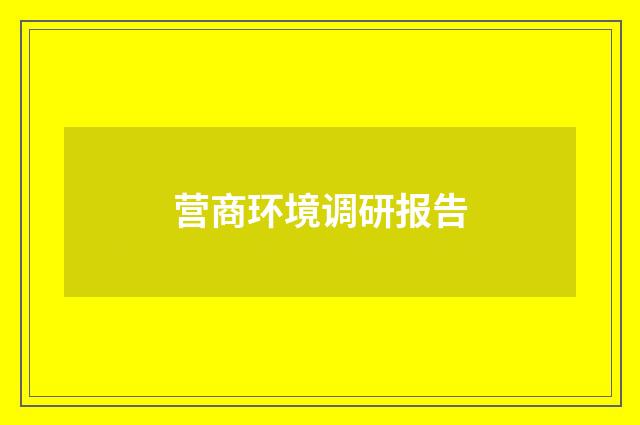 营商环境调研报告