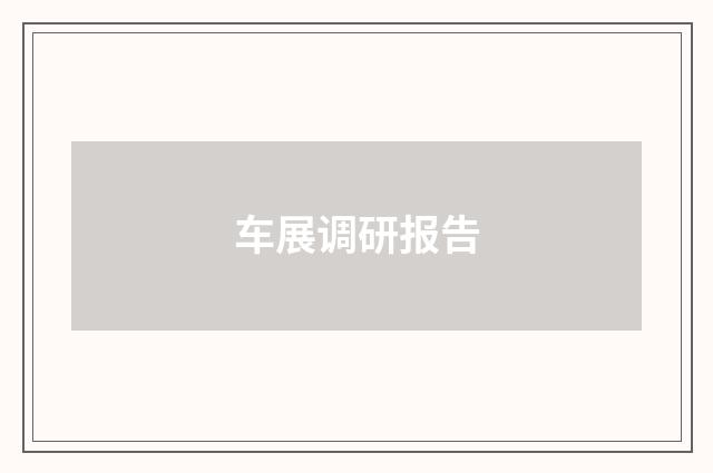 车展调研报告