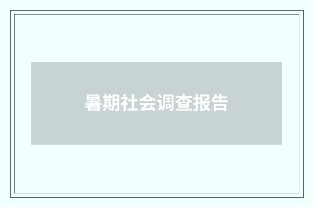 暑期社会调查报告