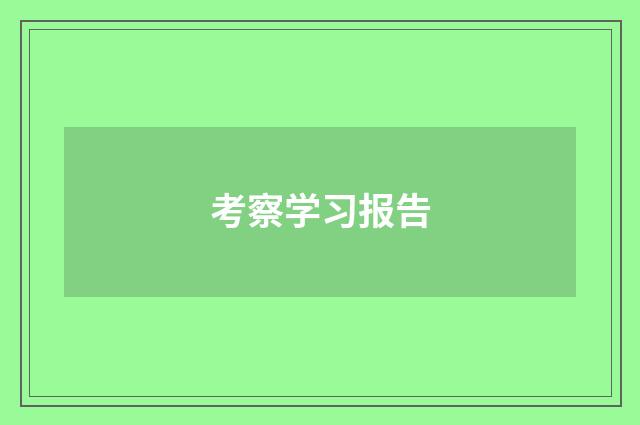 考察学习报告