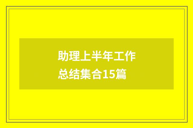 助理上半年工作总结集合15篇
