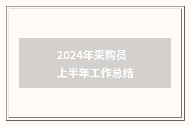 2024年采购员上半年工作总结