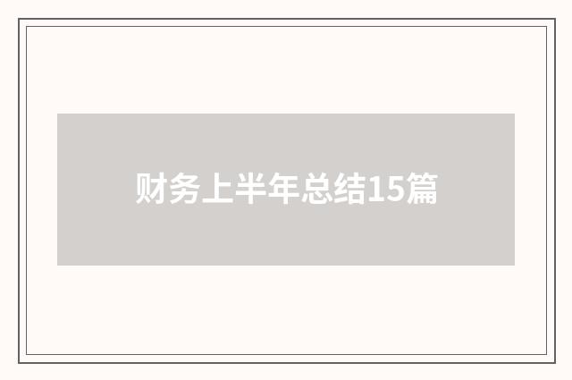 财务上半年总结15篇