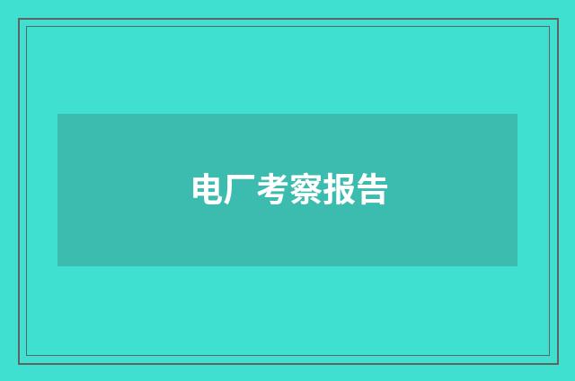 电厂考察报告