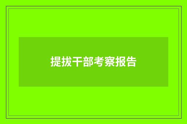 提拔干部考察报告