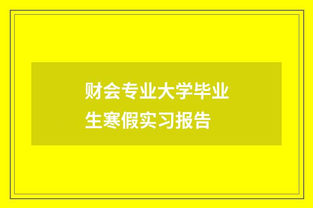 财会专业大学毕业生寒假实习报告