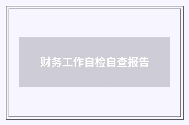 财务工作自检自查报告