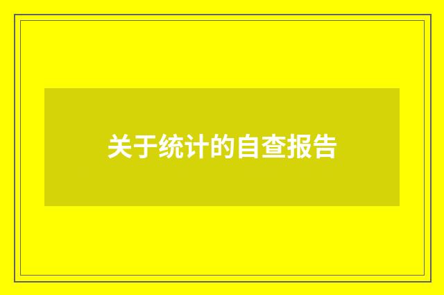 关于统计的自查报告