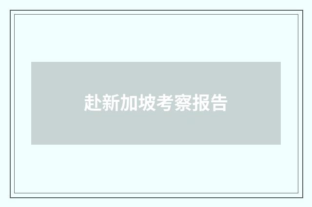 赴新加坡考察报告