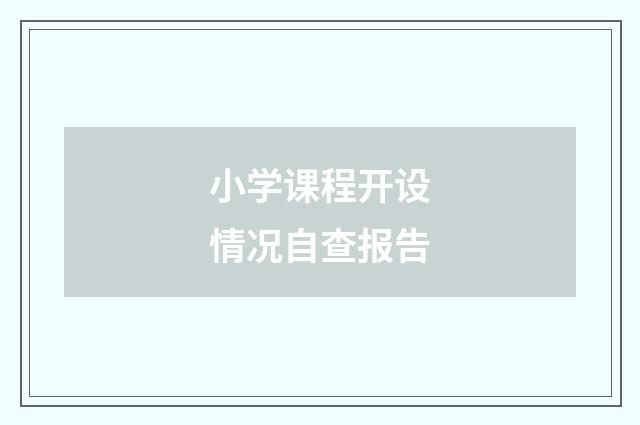 小学课程开设情况自查报告