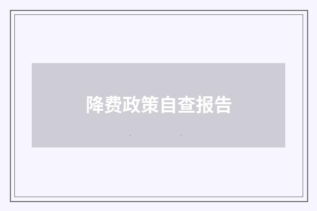 降费政策自查报告