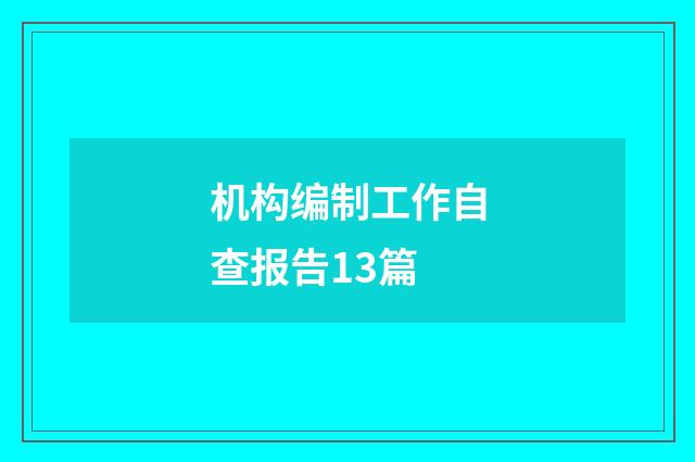 机构编制工作自查报告13篇