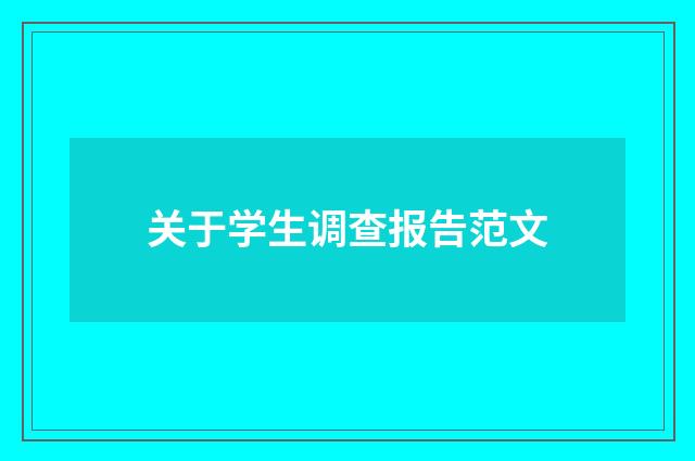 关于学生调查报告范文