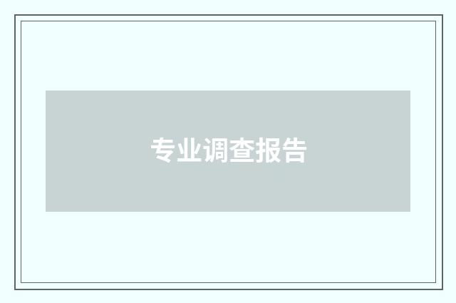 专业调查报告