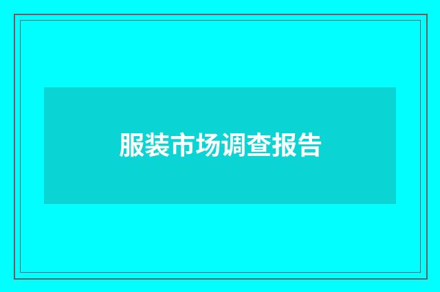服装市场调查报告