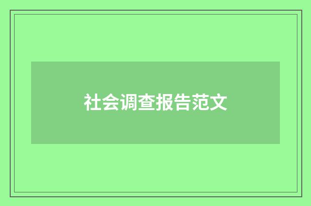 社会调查报告范文