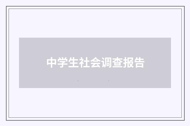 中学生社会调查报告