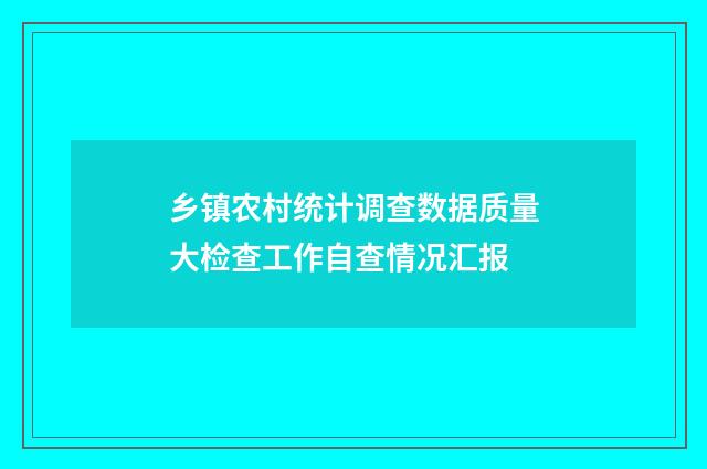 乡镇农村统计调查数据质量大检查工作自查情况汇报