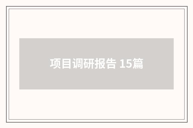 项目调研报告 15篇