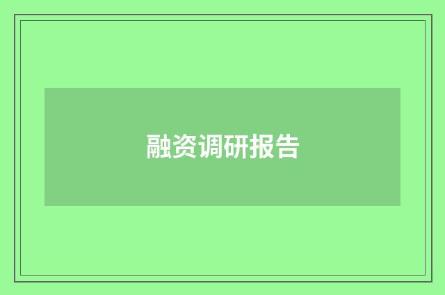 融资调研报告