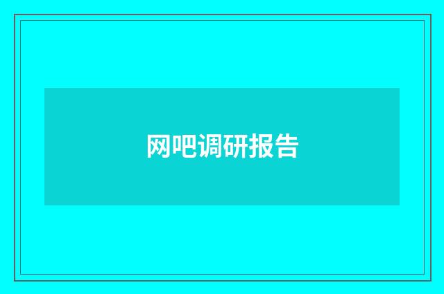 网吧调研报告