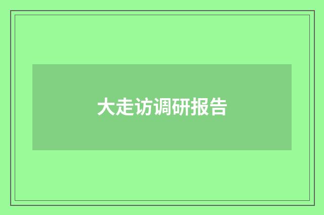大走访调研报告