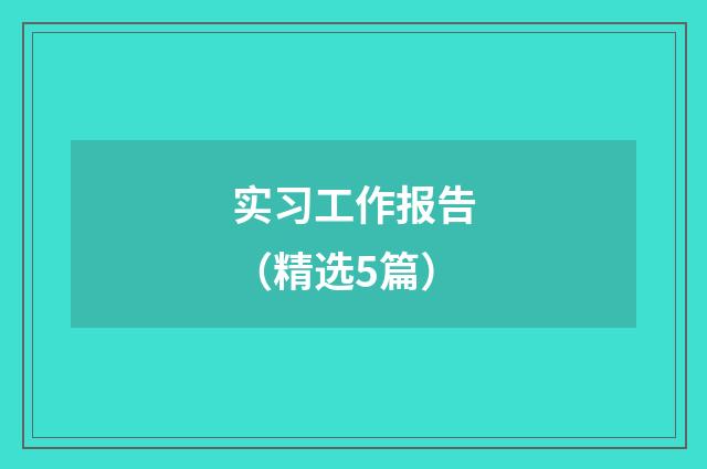 实习工作报告(精选5篇)