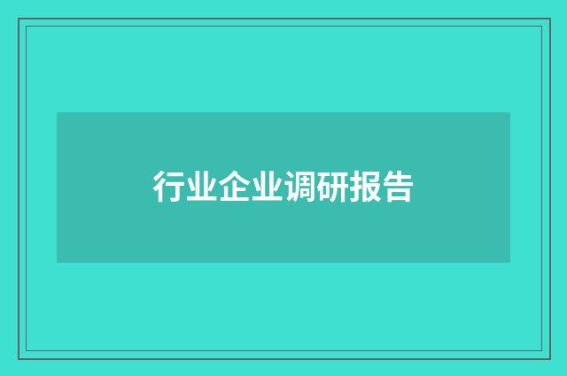 行业企业调研报告