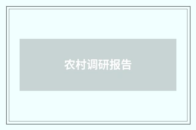 农村调研报告