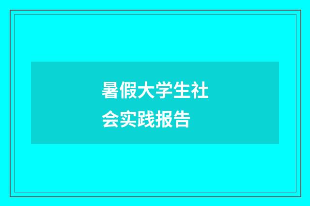 暑假大学生社会实践报告