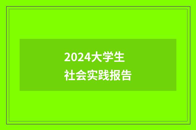 2024大学生社会实践报告