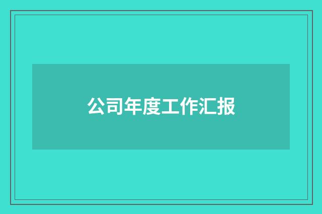 公司年度工作汇报