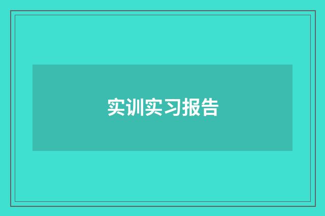 实训实习报告