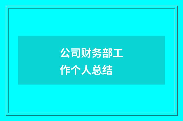 公司财务部工作个人总结