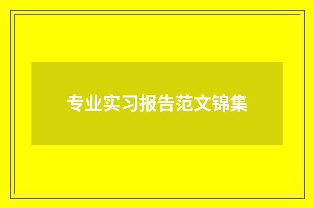 专业实习报告范文锦集