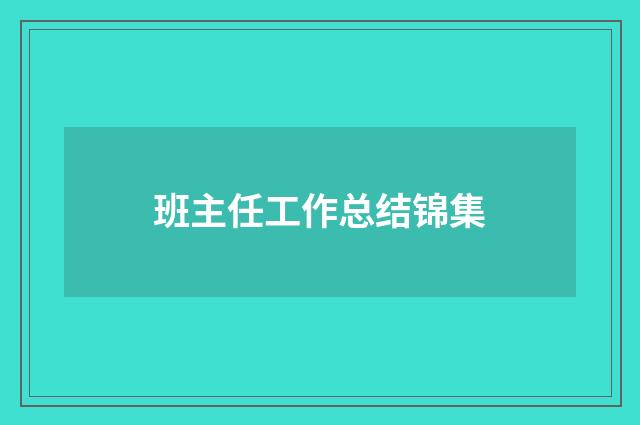 班主任工作总结锦集
