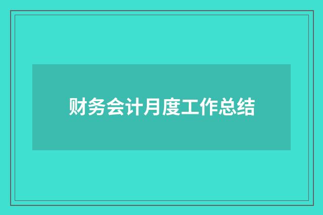财务会计月度工作总结