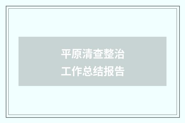平原清查整治工作总结报告