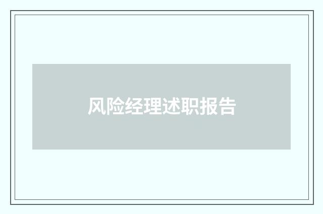 风险经理述职报告