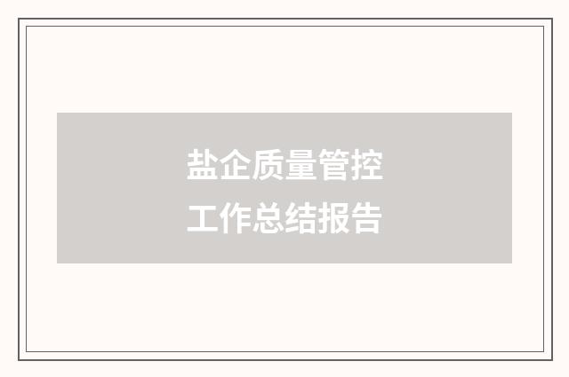 盐企质量管控工作总结报告